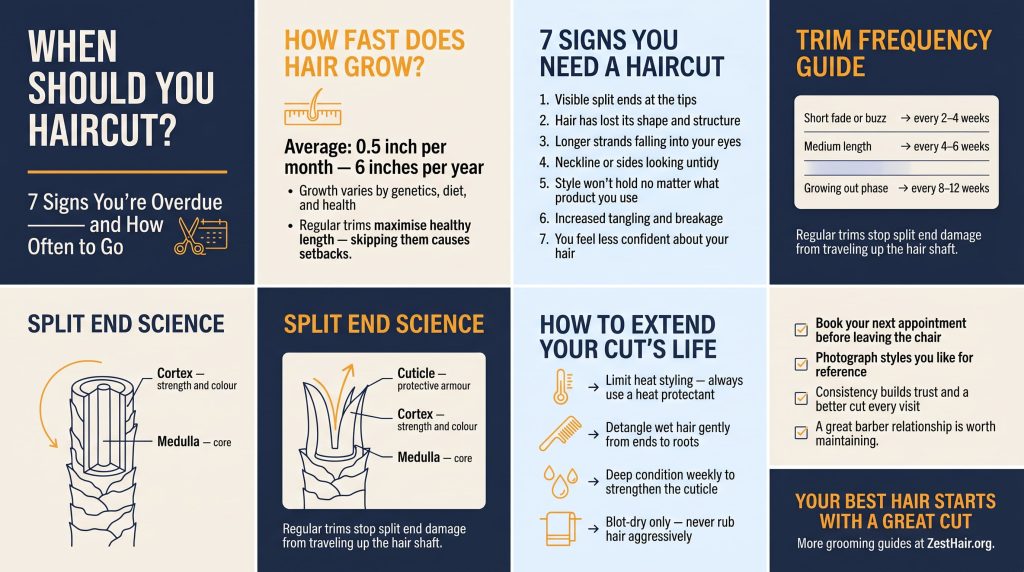When to get a haircut infographic for men — 7 overdue signs, trim frequency guide by hair length, split end science diagram, and tips to extend your cut's life